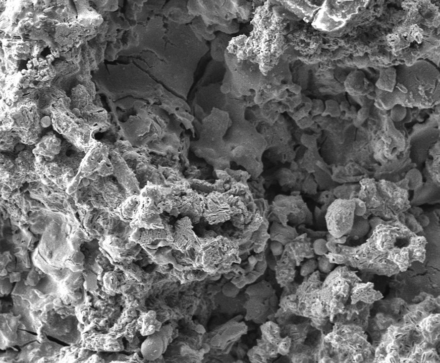 Microstructure of the Innovative Electrode