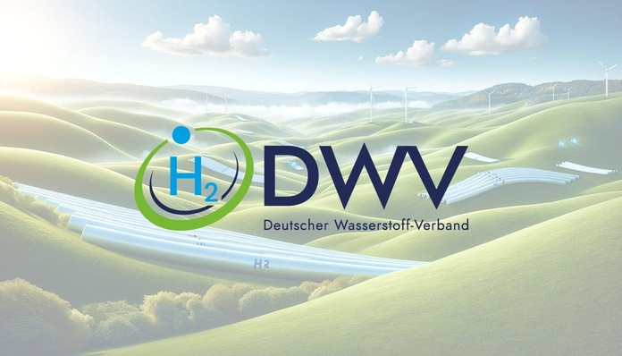 DWV Logo