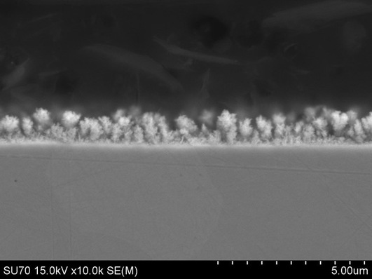 What looks like a winter forest is actually the structured surface of Tanaka ’ s new hydrogen separation membrane. 