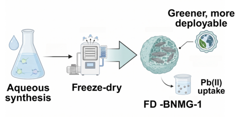 Researchers are working on a better method for removing lead from water using a freeze-dried material.