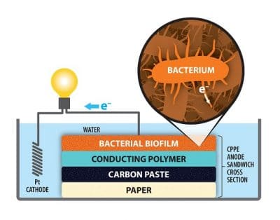 Microbial Fuel Cells Have Potential