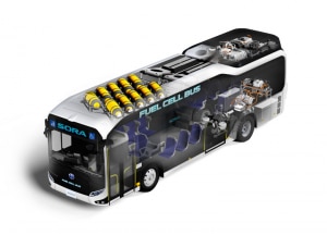 Shortage of fuel cell buses